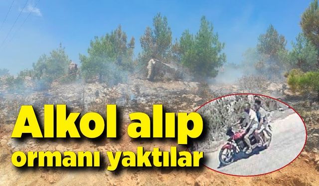 Alkol alıp ormanı yaktılar, devleti milyonlarca lira zarara uğrattılar