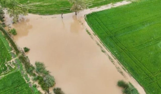 Tarım arazileri sular altında