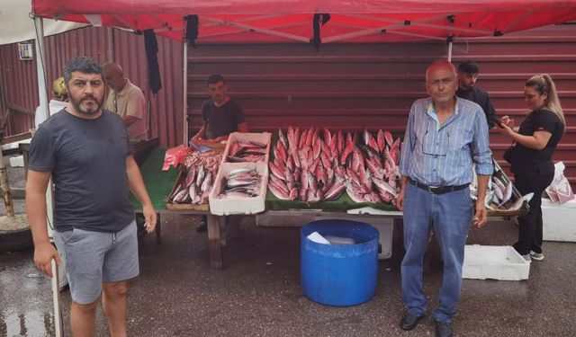 Balıkçılar mağdur "Esnaftık seyyar satıcıya döndük"