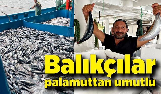 Balıkçılar palamuttan umutlu