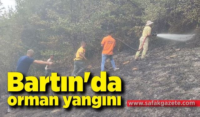 Bartın'da orman yangını kontrol altına alındı