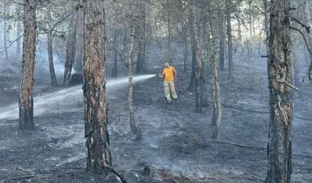 Bolu’da örtü yangınında 2 dönümlük alan kül oldu