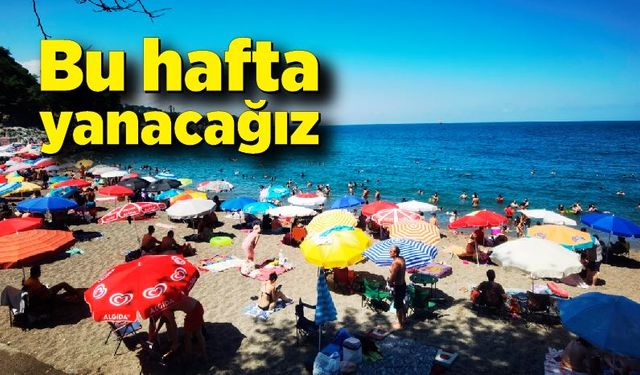 Bu hafta yanacağız