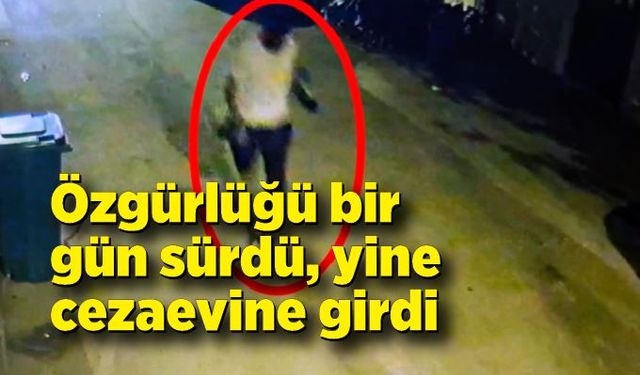 Özgürlüğü bir gün sürdü, yine cezaevine girdi