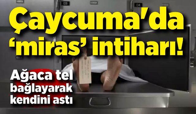 Çaycuma'da miras intiharı!