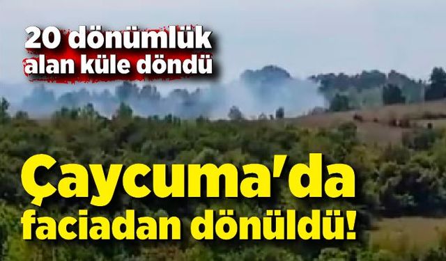 Çaycuma'da faciadan dönüldü! Serdaroğlu Köyü'nde çıkan örtü yangını korkuttu!