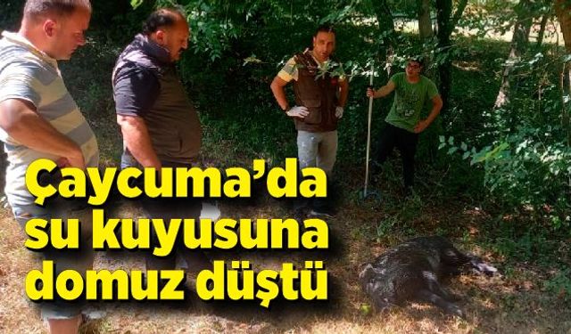 Su kuyusuna düşen yavru yaban domuzu DKMP ekiplerince kurtarıldı