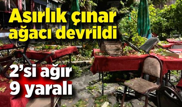 Asırlık ağacın dalı kıraathanede oturanların üzerine devrildi: 2’si ağır 9 yaralı