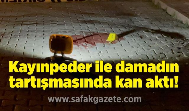 Kayınpeder ile damadın tartışmasında kan aktı