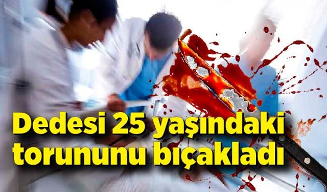 Dedesi 25 yaşındaki torununu bıçakladı