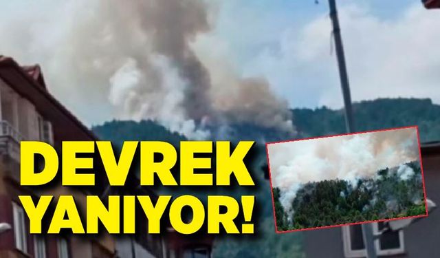 Devrek yanıyor! Ekipler müdahale ediyor