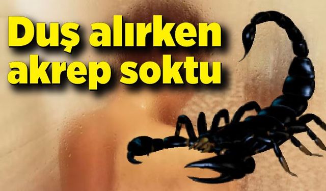 Duş alırken akrep soktu