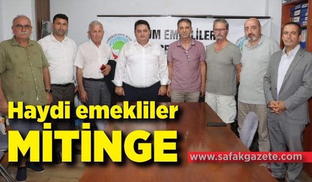 Haydi emekliler mitinge