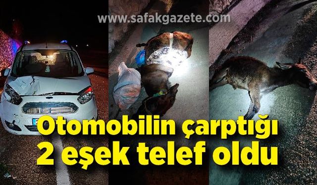 Otomobilin çarptığı 2 eşek telef oldu