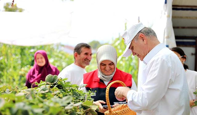 Topraksız tarım ile çilek üretiyor