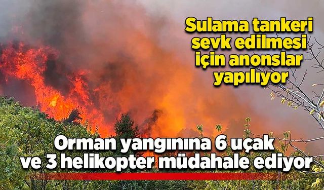 Orman yangınına 6 uçak ve 3 helikopter müdahale ediyor