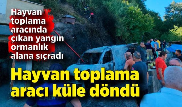 Belediyenin hayvan toplama aracında çıkan yangın ormanlık alana sıçradı