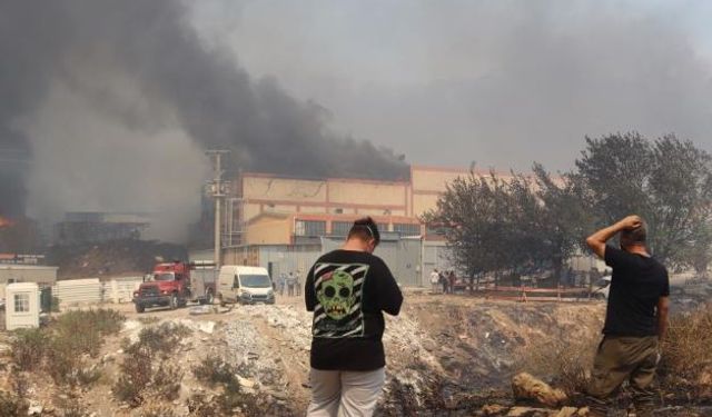 Alevler iş yerlerine ve araçlara sıçradı