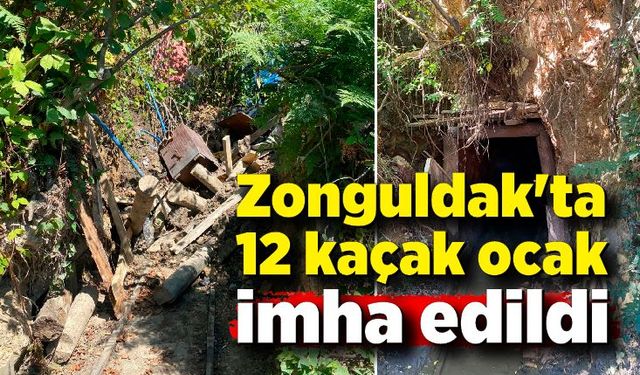 Zonguldak'ta 12 kaçak ocak imha edildi