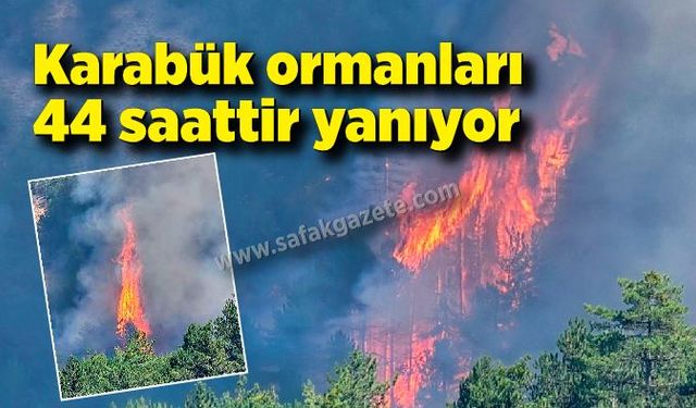 Karabük'teki orman yangını 44 saati aştı