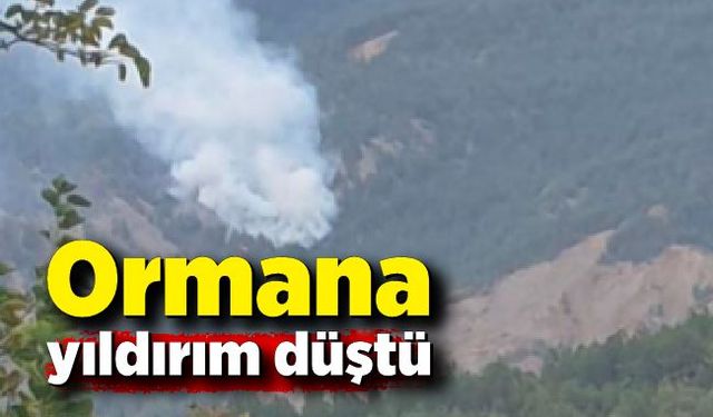 Karabük'te düşen yıldırım orman yangını çıkardı