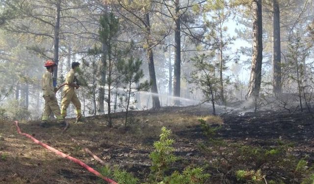 Kastamonu’da çıkan orman yangını söndürüldü