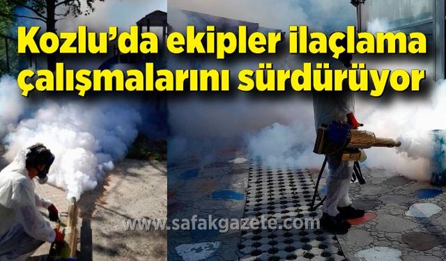 Ekipler ilaçlama çalışmalarını sürdürüyor