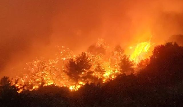 Manisa'daki orman yangını 80'inci saatinde