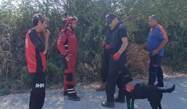 Kayıp olarak aranan 90 yaşındaki şahsın cansız bedenine ulaşıldı