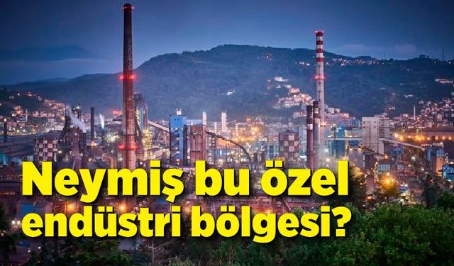 Neymiş bu özel endüstri bölgesi?