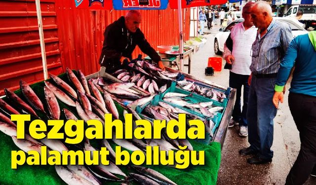 Tezgalarda palamut bolluğu