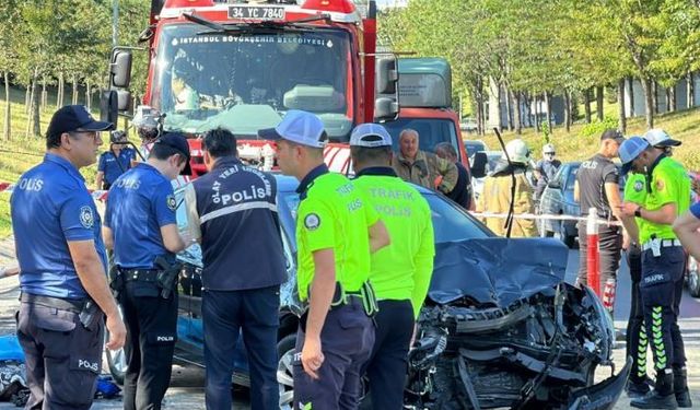 Ailesiyle piknik yapmak için durduğu yol kenarında hayatını kaybetti