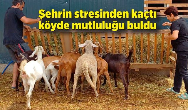 Şehrin stresinden kaçtı, köyde mutluluğu buldu