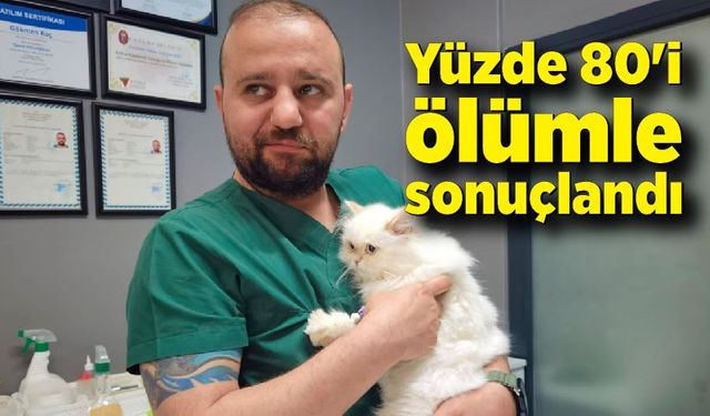 Veteriner Gökmen Koç; Yüzde 80'i ölümle sonuçlandı