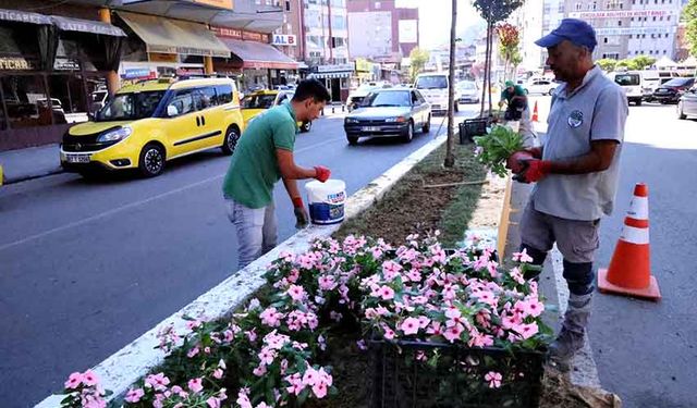 Acılık Caddesinde çiçekler açtı