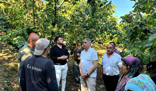 AK Parti Milletvekili Bozkurt, fındık işçilerinin sorunlarını dinledi