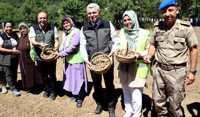 Safranbolu safranına Orköy desteği