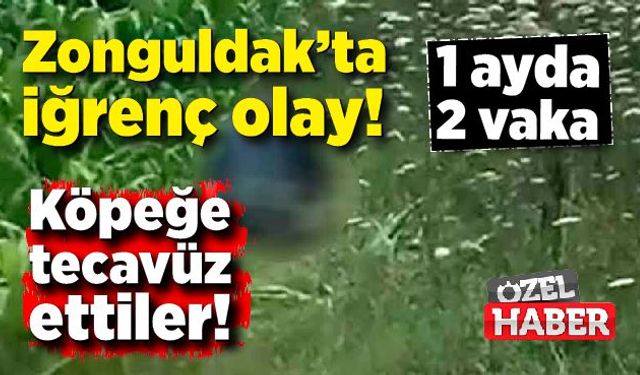 Zonguldak’ta köpeğe tecavüz ettiler! 1 ayda iki vaka!