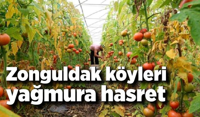 Zonguldak köyleri yağmura hasret