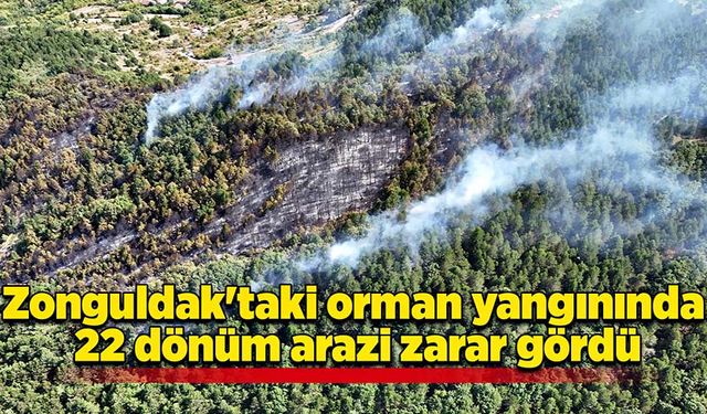 Zonguldak'taki orman yangınında 22 dönüm arazi zarar gördü