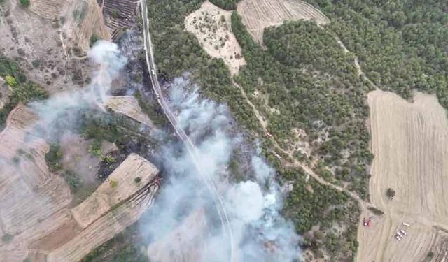 Bolu'daki orman yangını havadan görüntülendi