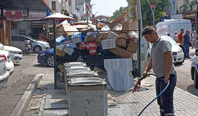 Bartın'da haşere ile mücadele sürüyor