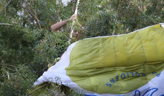 Paraşüt ağaçta asılı kaldı, ekipler alarma geçti