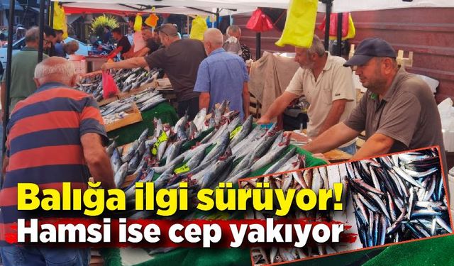 Balığa ilgi sürüyor! Hamsi ise cep yakıyor