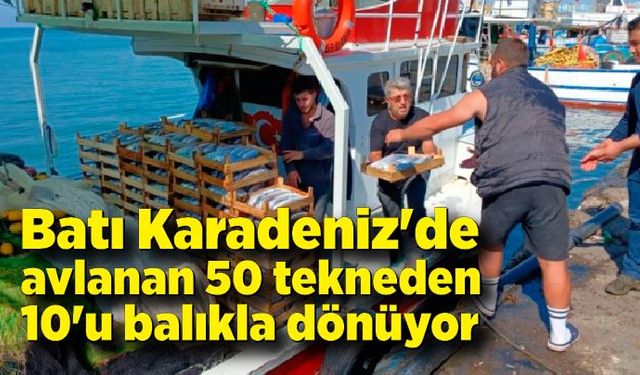 Batı Karadeniz'de avlanan 50 tekneden 10'u balıkla dönüyor