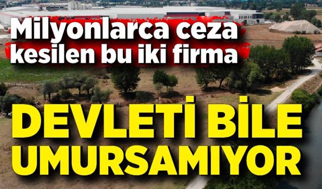 Milyonlarca ceza kesilen bu iki firma devleti bile umursamıyor