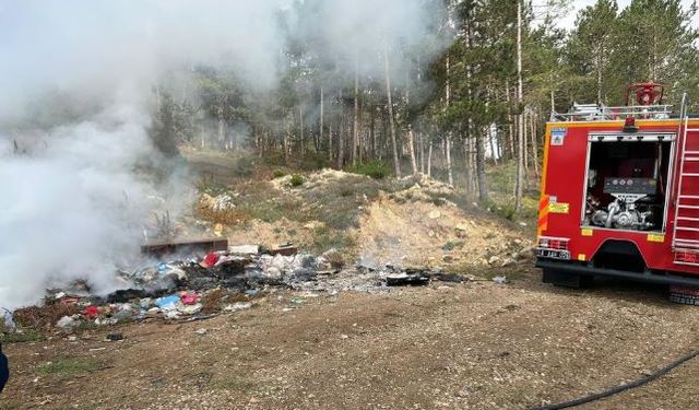 Çöp yangını ormana sıçramadan söndürüldü