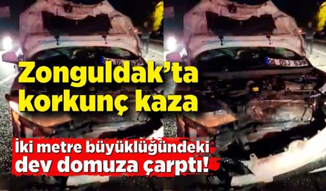 Zonguldak’ta korkunç kaza: İki metre büyüklüğündeki domuza çarptı!