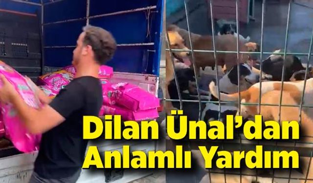 Almanya'dan Sokak Hayvanlarına Destek: Dilan Ünal’dan Anlamlı Yardım