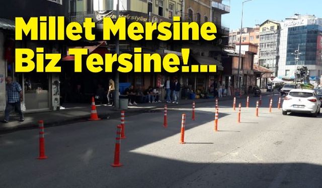 Millet Mersine, Biz Tersine